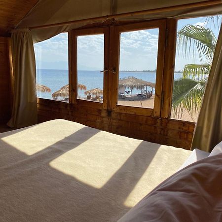 Nuweiba Lodge 외부 사진