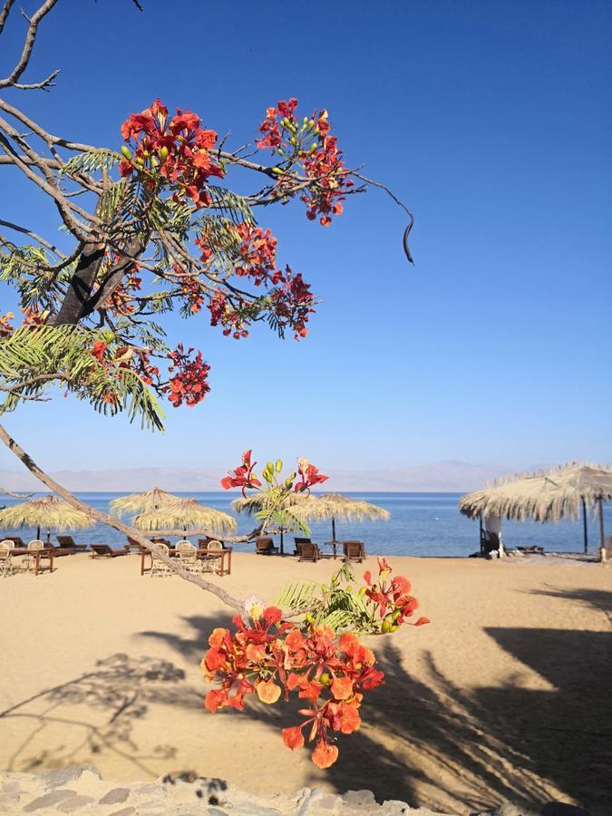 Nuweiba Lodge 외부 사진